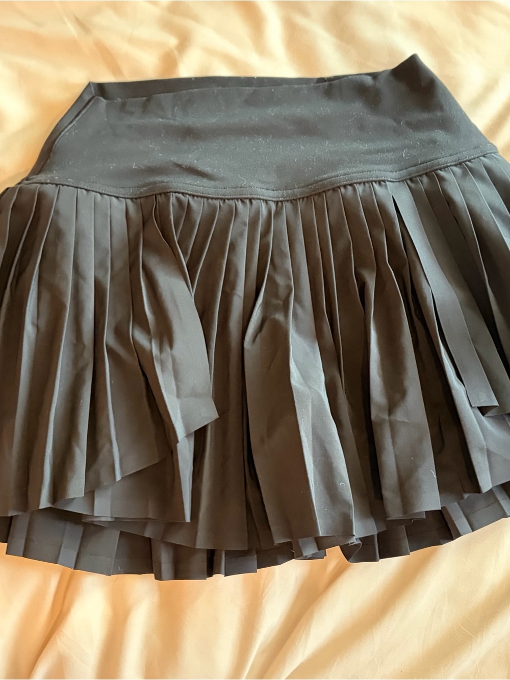 aerie Black Pleated Skater Mini Skirt